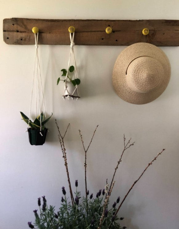 Upcycled Leather and Macrame Plant Hangers