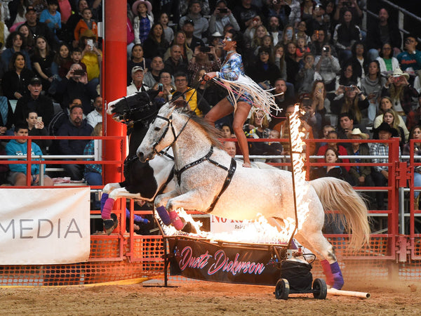Horseback Riding at a competition