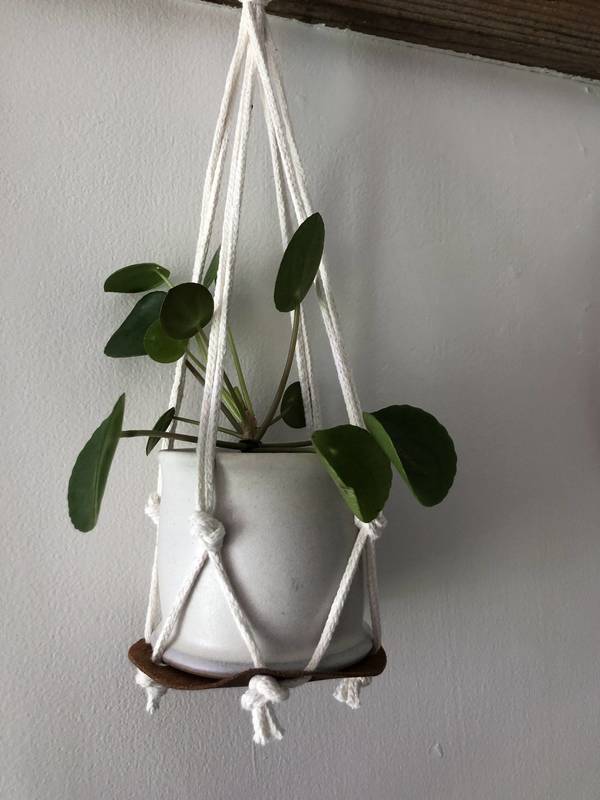 Upcycled Projects