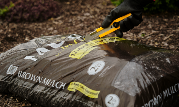 Outdoor Backyard Safety with OLFA H-1 Utility Knife