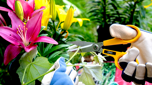 Home Garden Outdoor Projects DIY with OLFA